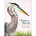 Drawn to Birds: A Naturalist's Sketchbook