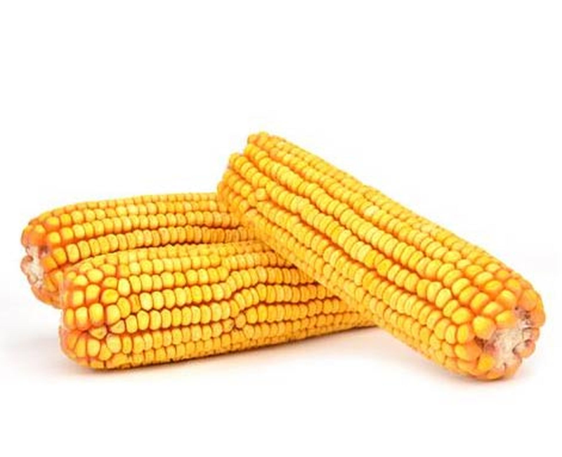 ear corn