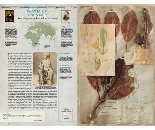 Explorers' Botanical Notebook: In the Footsteps of Theophrastus, Marco Polo, Linnaeus, Flinders, Darwin, Speke and Hooker - interior pages