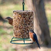 Mr. Bird EZFeeder - attracts all kinds of birds