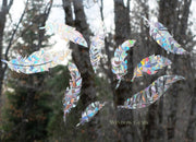 Feather Window Cling installed