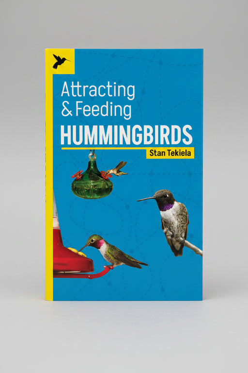 Attracting & Feeding Hummingbirds