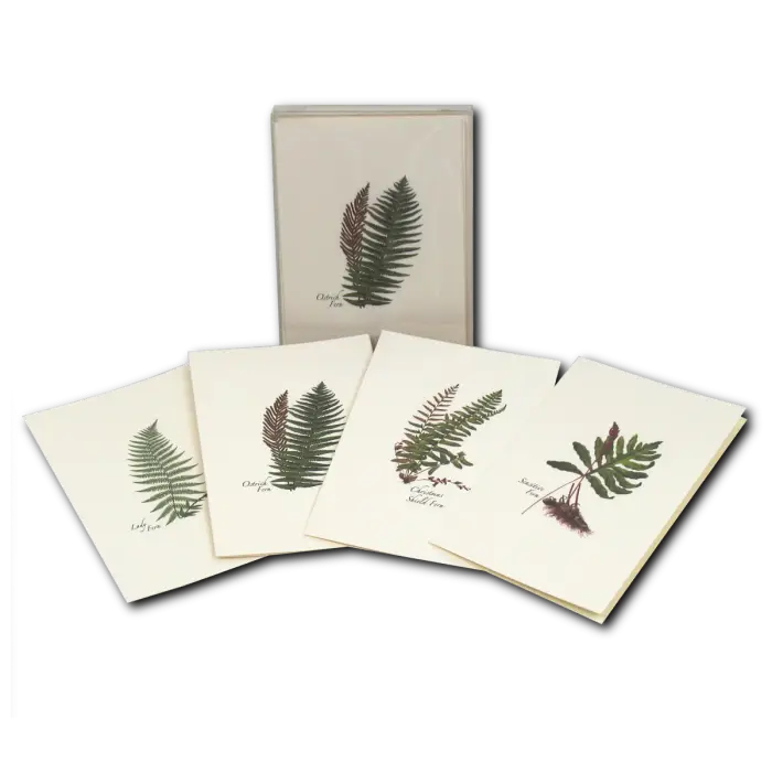 Fern Assortment Notecard Boxed Set