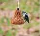 Mr. Bird's Flaming Hot Feast - Bell - woodpecker