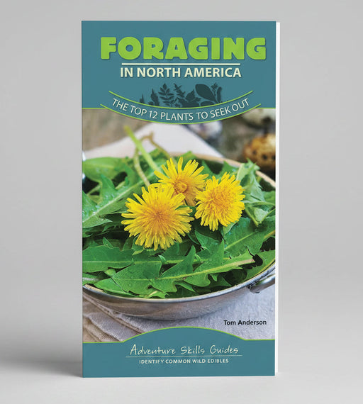 Foraging in North America Quick Guide