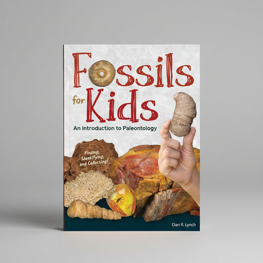 Fossils for Kids cover