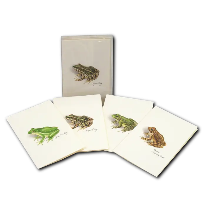 Frog and Toad Assortment Notecard Boxed Set 