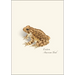 Frog and Toad Assortment Notecard Boxed Set - Eastern American Toad