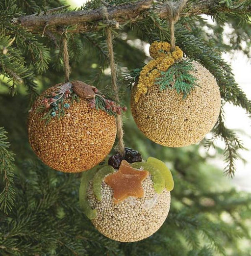 Fruit Ornament Trio - Hung on a Tree