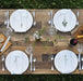 Garden Herbs Napkin Set top view of set table