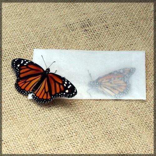 Butterfly Transfer Envelopes - 12 Pack
