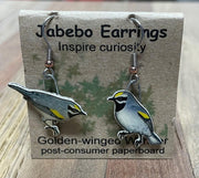 Golden-winged Warbler Earrings