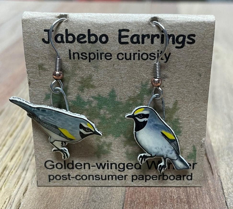 Golden-winged Warbler Earrings