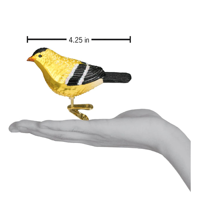 Goldfinch Ornament scale comparison
