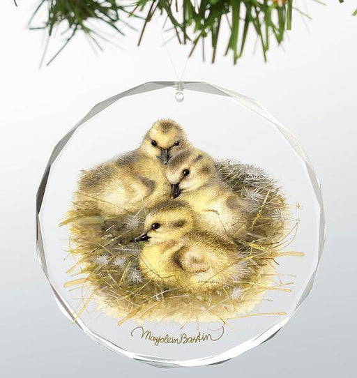 Goslings Round Glass Ornament