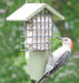Green Solutions Tail Prop Suet Feeder with red-bellied woodpecker