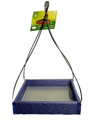 Blue Hanging Tray Feeder - 9 x 9