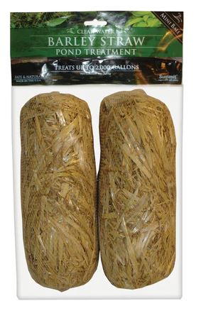Mini Bales Barley Straw - 2 pack