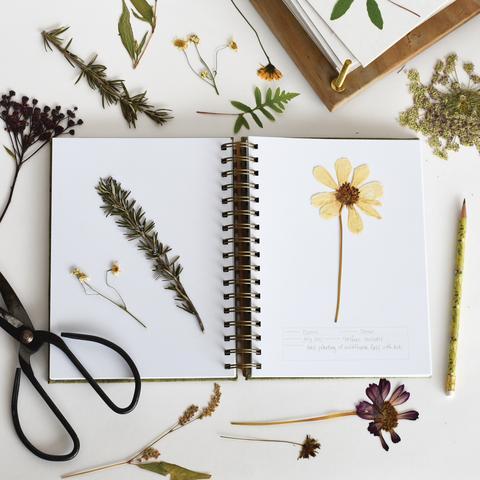 Herbarium Journal form June and December