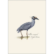 Heron Assortment Notecard Boxed Set - Yellow Crowned Night-Heron