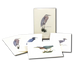 Heron Assortment Notecard Boxed Set