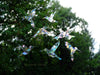 Prism Hummingbird Window Clings