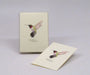 Ruby-throated Hummingbird Notecards