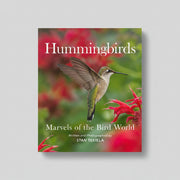 Hummingbirds: Marvels of the Bird World
