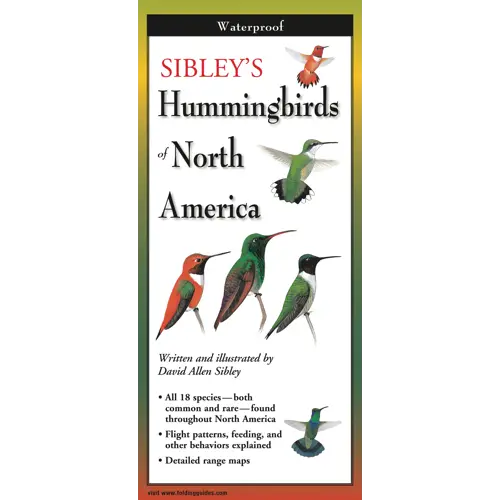 Sibley's Hummingbirds of North America