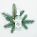 Blue spruce facial mist with spruce background