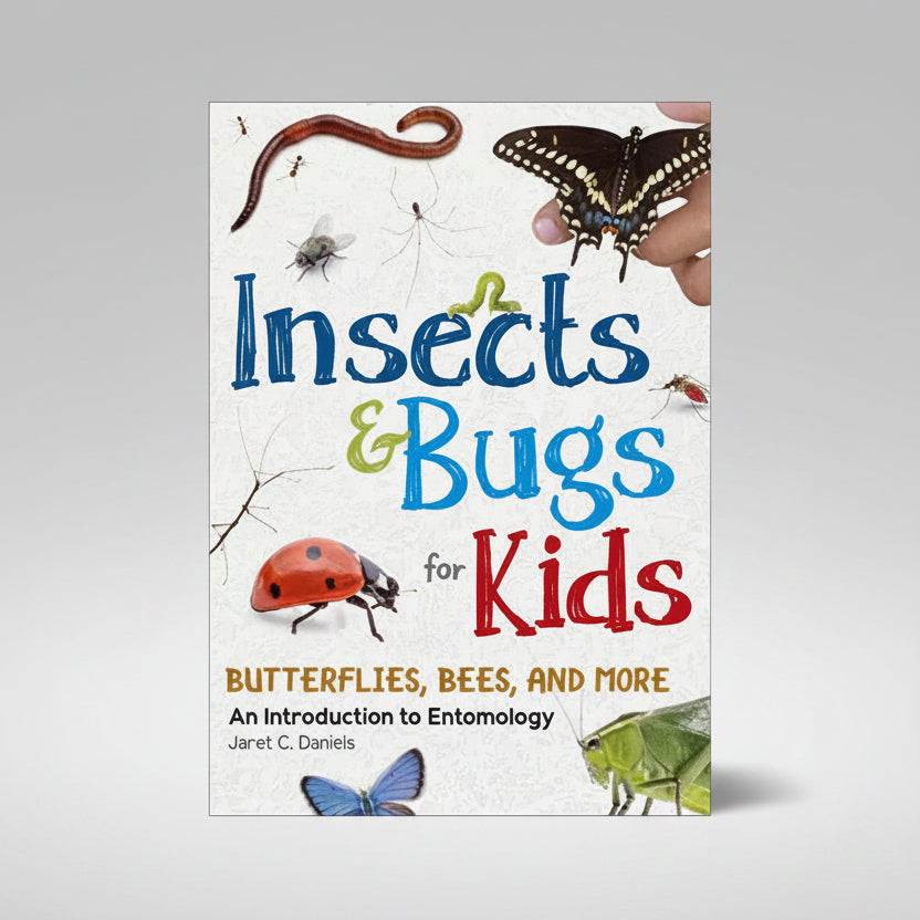 Insects & Bugs for Kids — Nature Niche