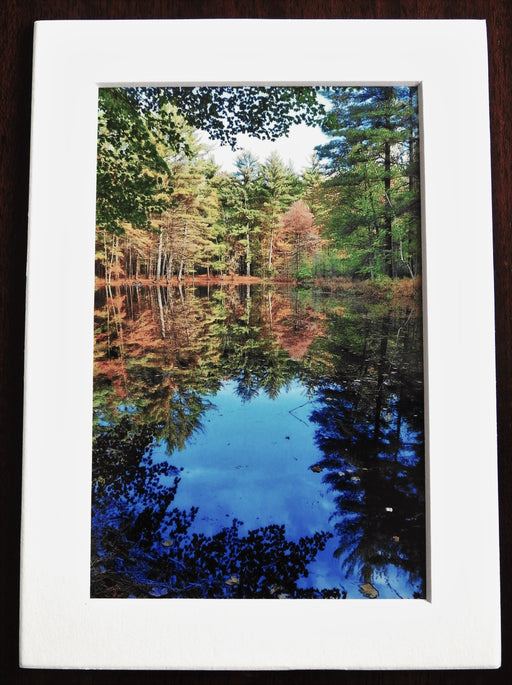 Tranquil Waters and Mirrored Reflections Photography Print - Matted