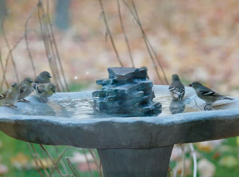 Bubblers and Wigglers for bird baths — Nature Niche