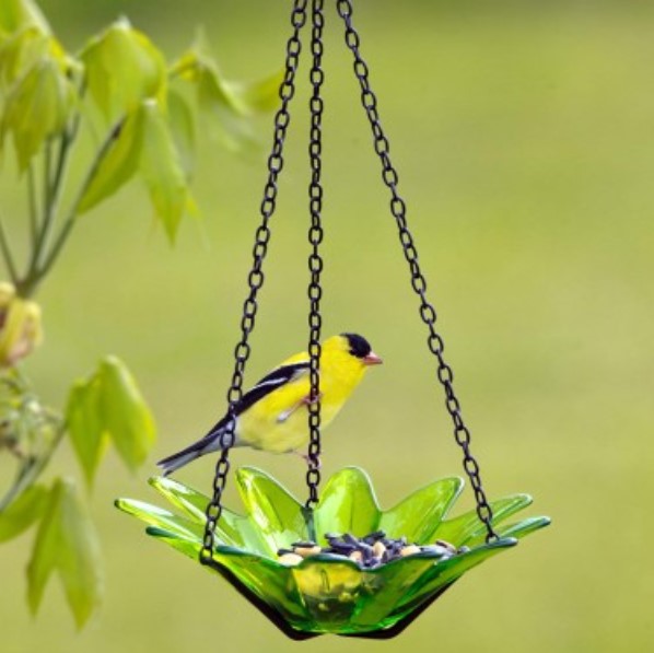 Lime daisy bird feeder with American goldfinch