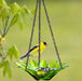 Lime daisy bird feeder with American goldfinch