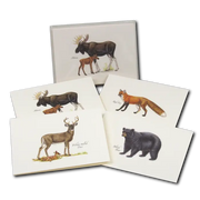 Mammals Assortment Notecard Boxed Set