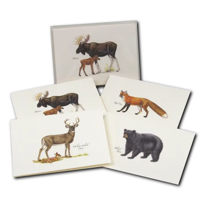 Mammals Assortment Notecard Boxed Set