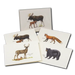 Mammals Assortment Notecard Boxed Set