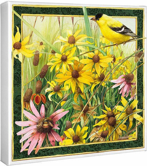 Meadow Paradise – Black-eyed Susans & American Goldfinch