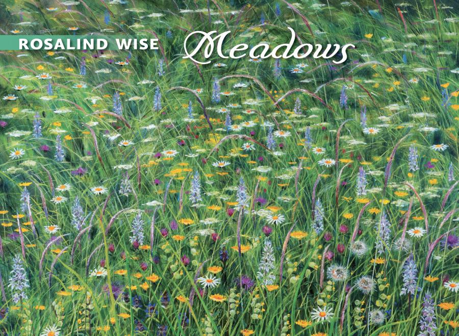 Meadows Boxed Notecards