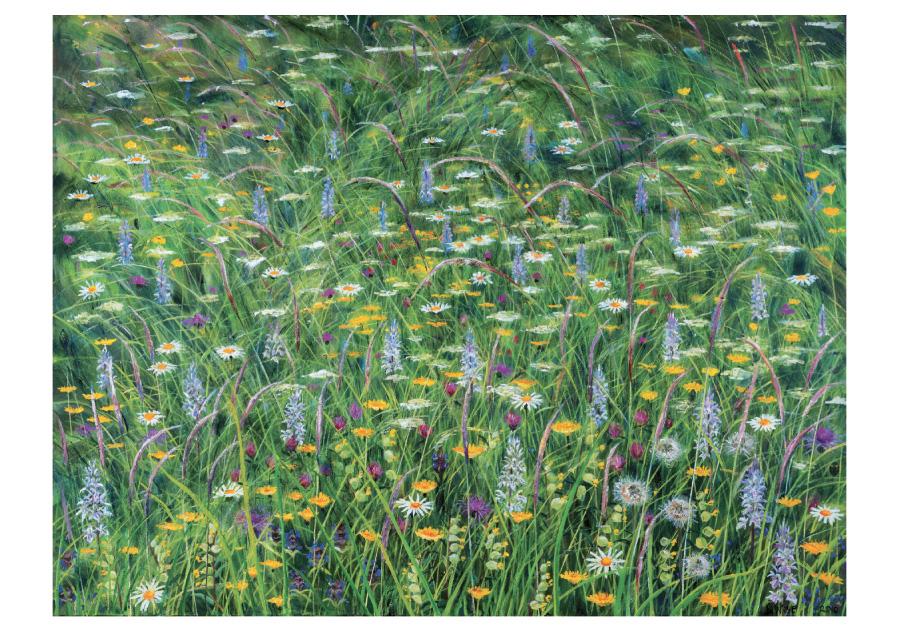 Wise Meadows Boxed Notecards