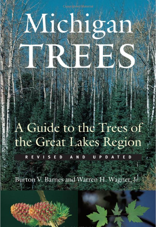 Michigan Trees - A Guide to the Trees of the Great Lakes Region