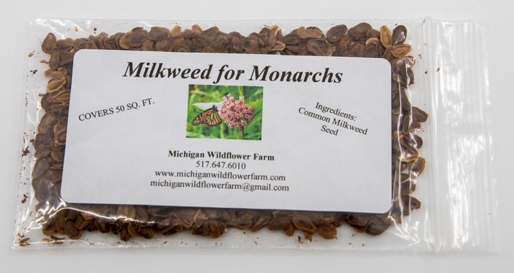 wildflower seeds for michigan Milkweed for Monarchs Seed Packet