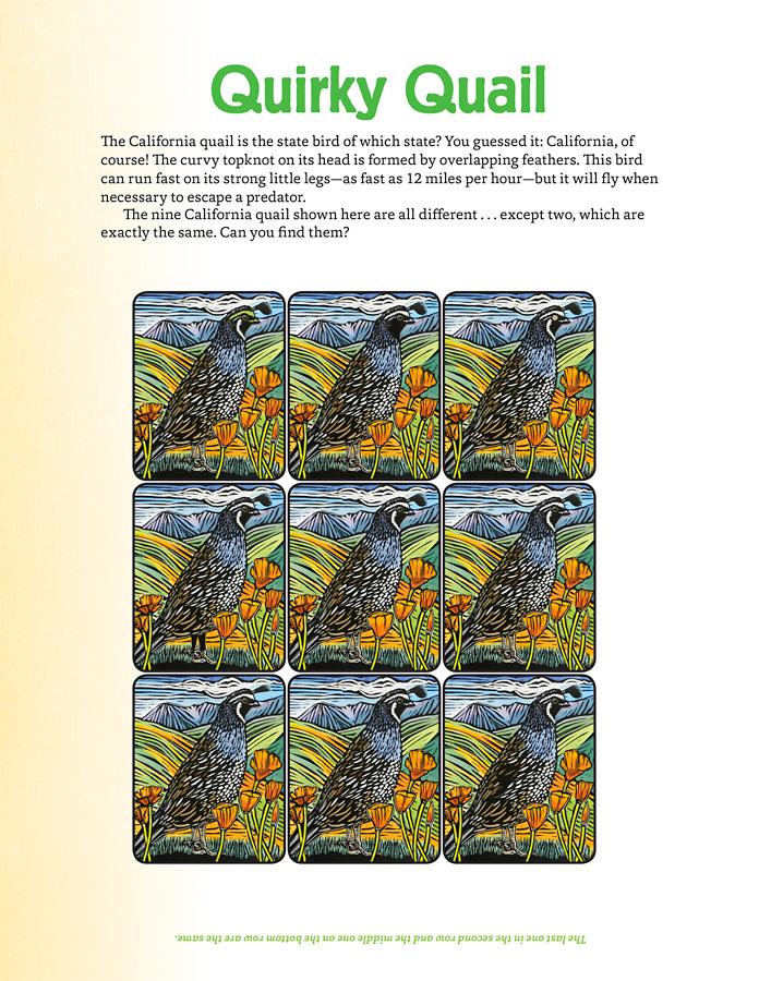 Nature activities for kids