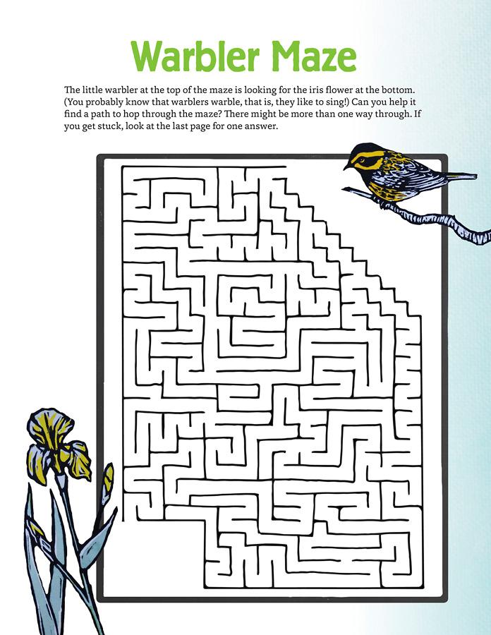 Fun outdoor activity book