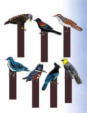 Kids nature activity book