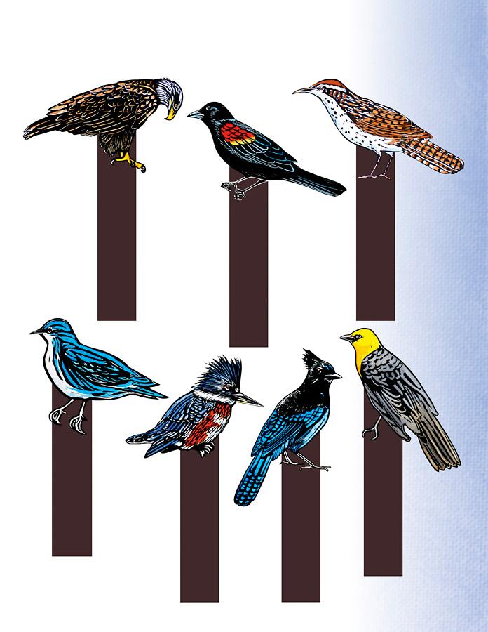 Kids nature activity book