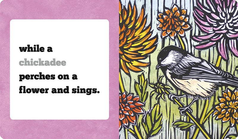 Educational bird book