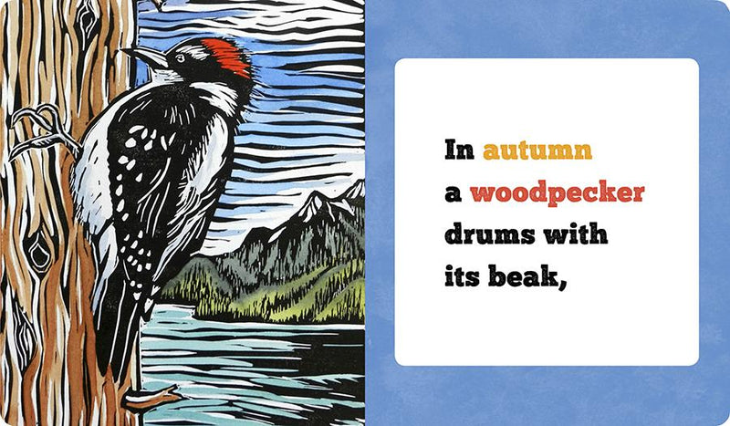 BIRDS! SEASON BY SEASON BOARD BOOK