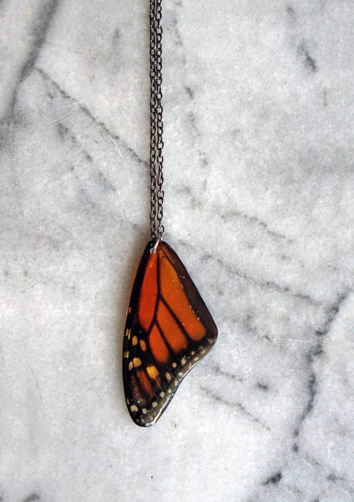 Actual Monarch Butterfly Wing Necklace